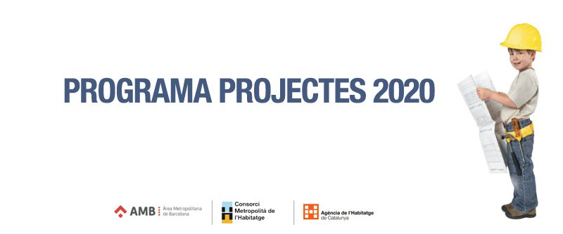 Programa Projectes 2020